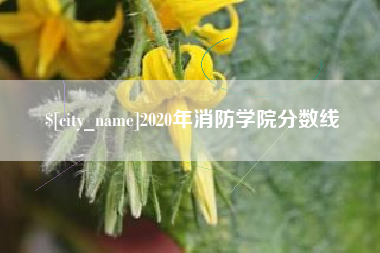 漯河2020年消防学院分数线