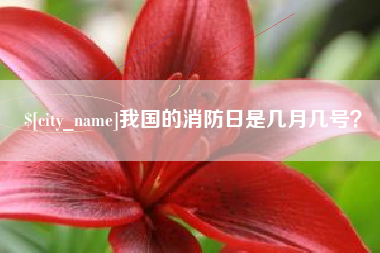 漯河我国的消防日是几月几号？