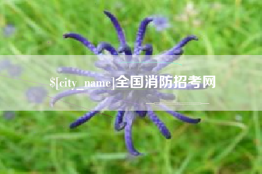 漯河全国消防招考网