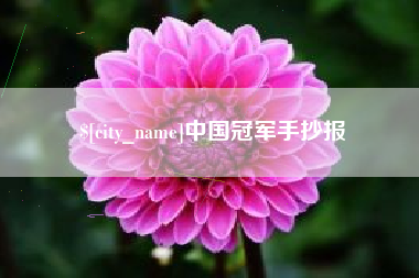 漯河中国冠军手抄报