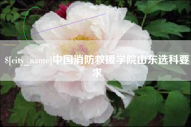 漯河中国消防救援学院山东选科要求