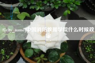漯河中国消防救援学院什么时候政审
