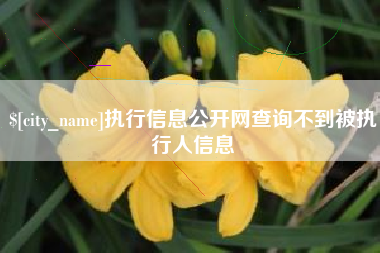 漯河执行信息公开网查询不到被执行人信息