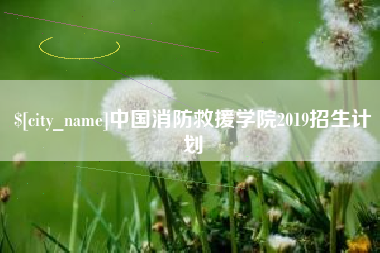 漯河中国消防救援学院2019招生计划