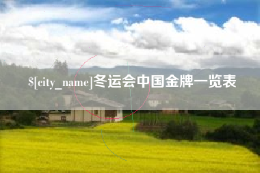 漯河冬运会中国金牌一览表