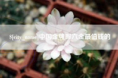 漯河中国金牌哪六金最值钱的