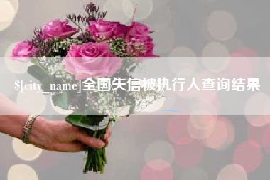 漯河全国失信被执行人查询结果