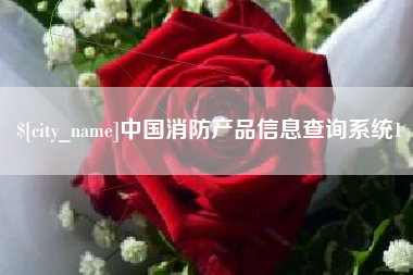 漯河中国消防产品信息查询系统1