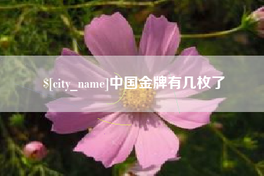 漯河中国金牌有几枚了