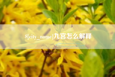 漯河九宫怎么解释