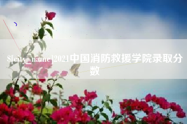 漯河2021中国消防救援学院录取分数