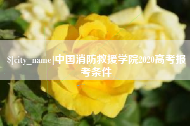漯河中国消防救援学院2020高考报考条件