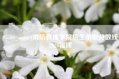 漯河消防救援学院招生录取分数线2020福建