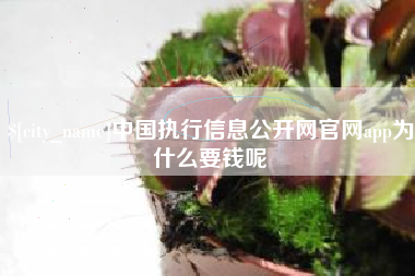 漯河中国执行信息公开网官网app为什么要钱呢
