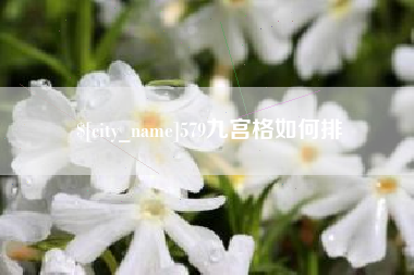漯河579九宫格如何排