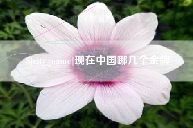 漯河现在中国哪几个金牌