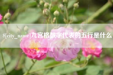漯河九宫格数字代表的五行是什么