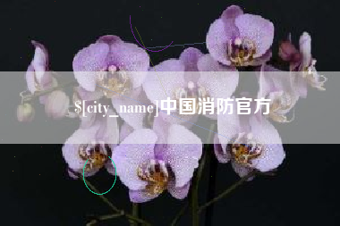 漯河中国消防官方