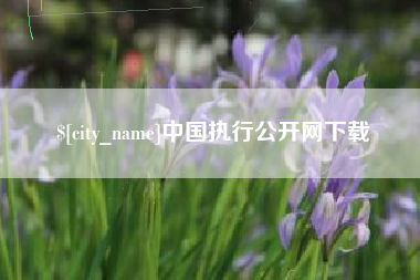 漯河中国执行公开网下载