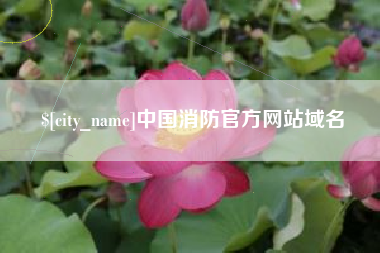 漯河中国消防官方网站域名