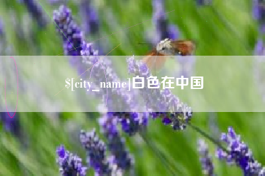 漯河白色在中国