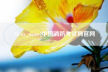 漯河中国消防考试网官网