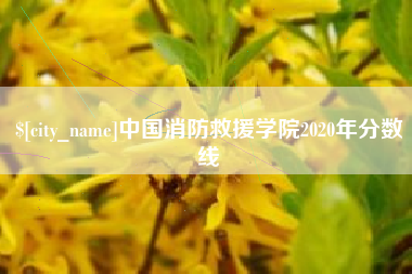 漯河中国消防救援学院2020年分数线