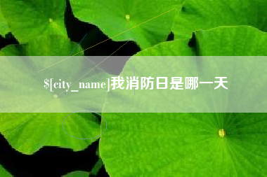 漯河我消防日是哪一天