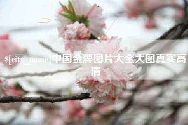 漯河中国金牌图片大全大图真实高清