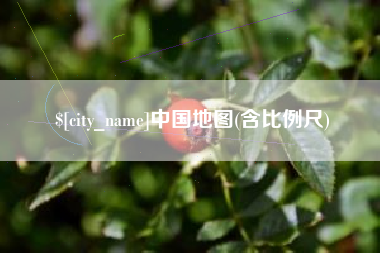漯河中国地图(含比例尺)