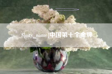 漯河中国第十个金牌
