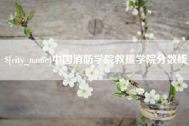 漯河中国消防学院救援学院分数线