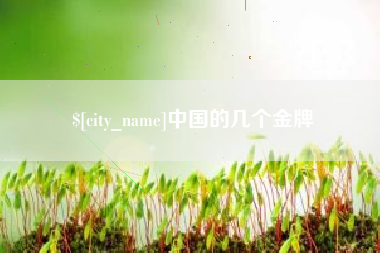 漯河中国的几个金牌