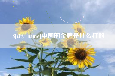 漯河中国的金牌是什么样的