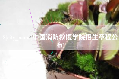 漯河中国消防救援学院招生章程公布!