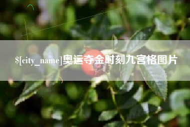 漯河奥运夺金时刻九宫格图片