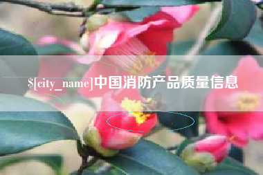 漯河中国消防产品质量信息