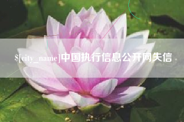 漯河中国执行信息公开网失信