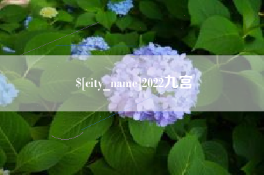 漯河2022九宫