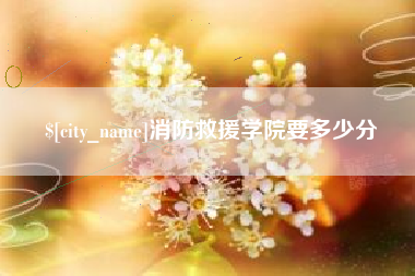 漯河消防救援学院要多少分