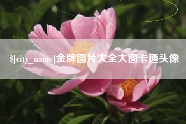 漯河金牌图片大全大图卡通头像