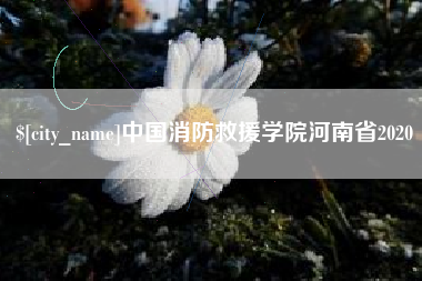 漯河中国消防救援学院河南省2020